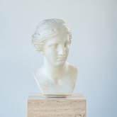 Art resin replica of the Head of Amazon Musei Capitolini statue with classical warrior features.