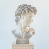 High-quality art resin bust of Michelangelo-s iconic David sculpture
