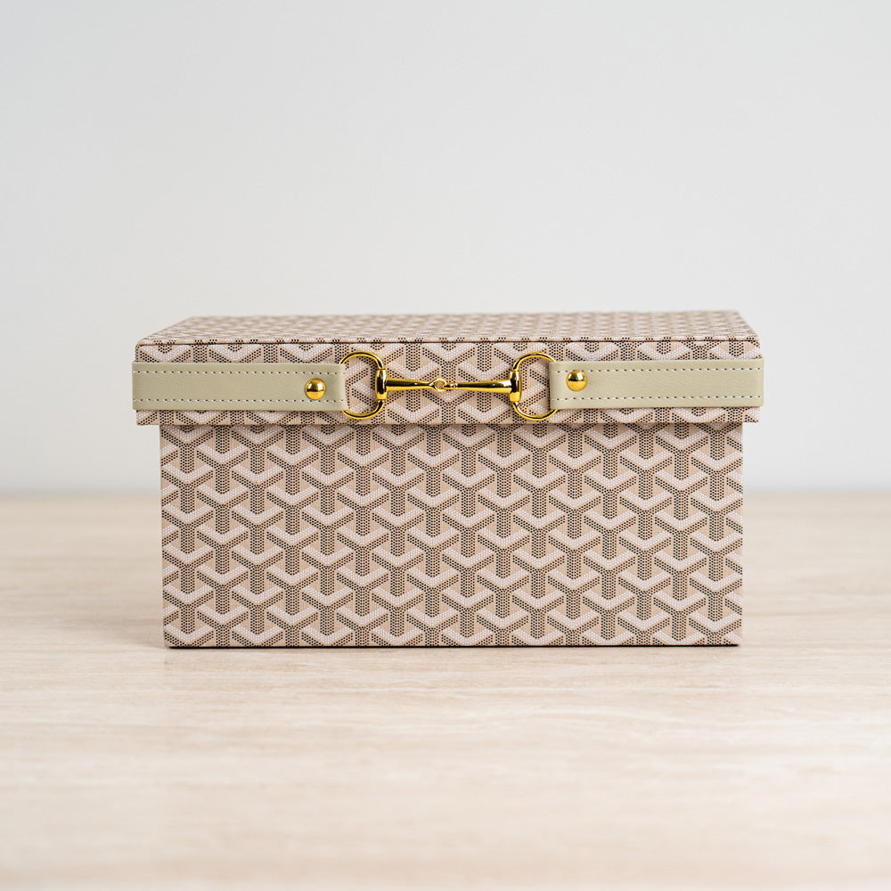 Aris storage box handwoven with premium materials and accented with a gold-tone clasp.
