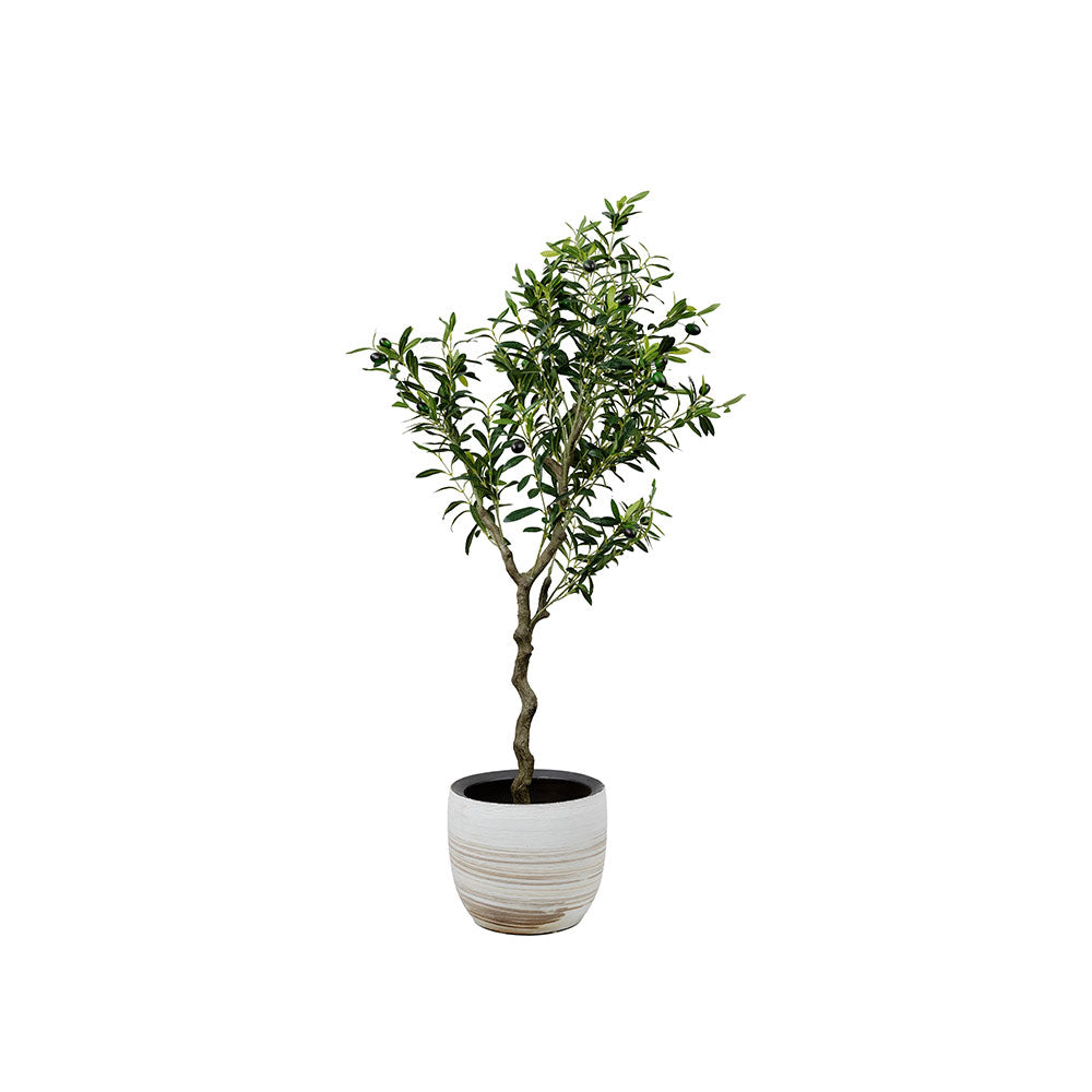 Realistic artificial olive tree with light green leaves and lifelike olives, potted in a 15cm decorative pot, perfect for indoor home or office décor without maintenance.