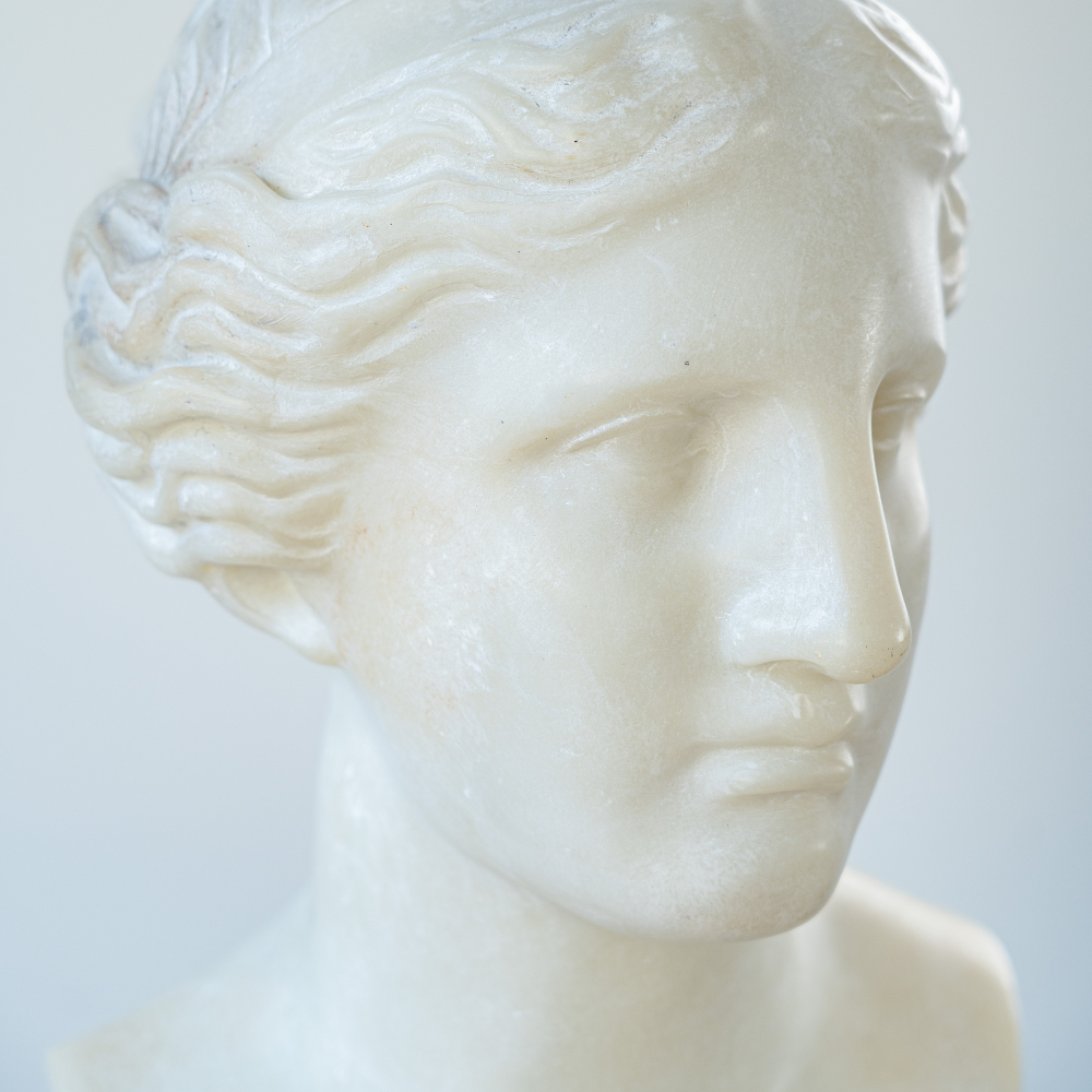 Detailed resin bust of the Amazon warrior from Musei Capitolini, timeless classical decor.