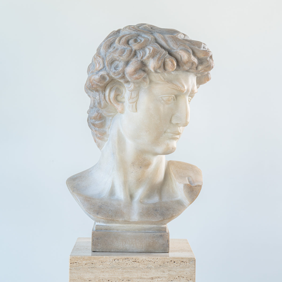 Bust of Michelangelo's David