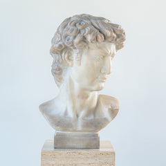 Bust of Michelangelo's David