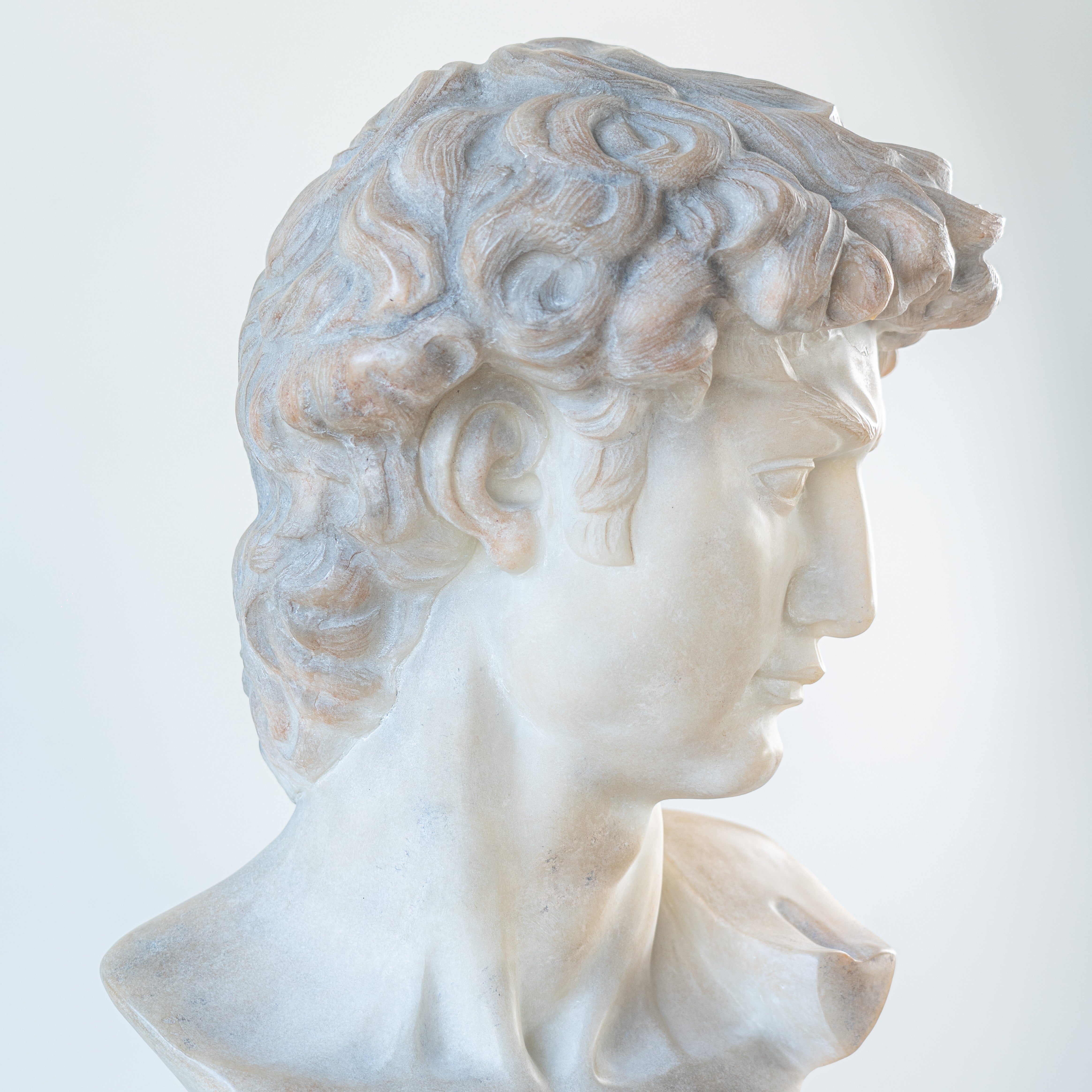 Bust of Michelangelo's David