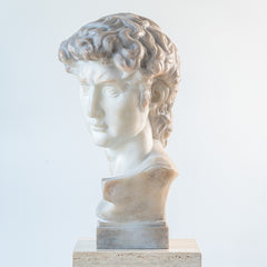 Bust of Michelangelo's David
