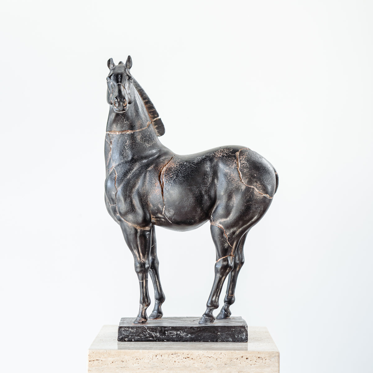 Black Vintage War Horse