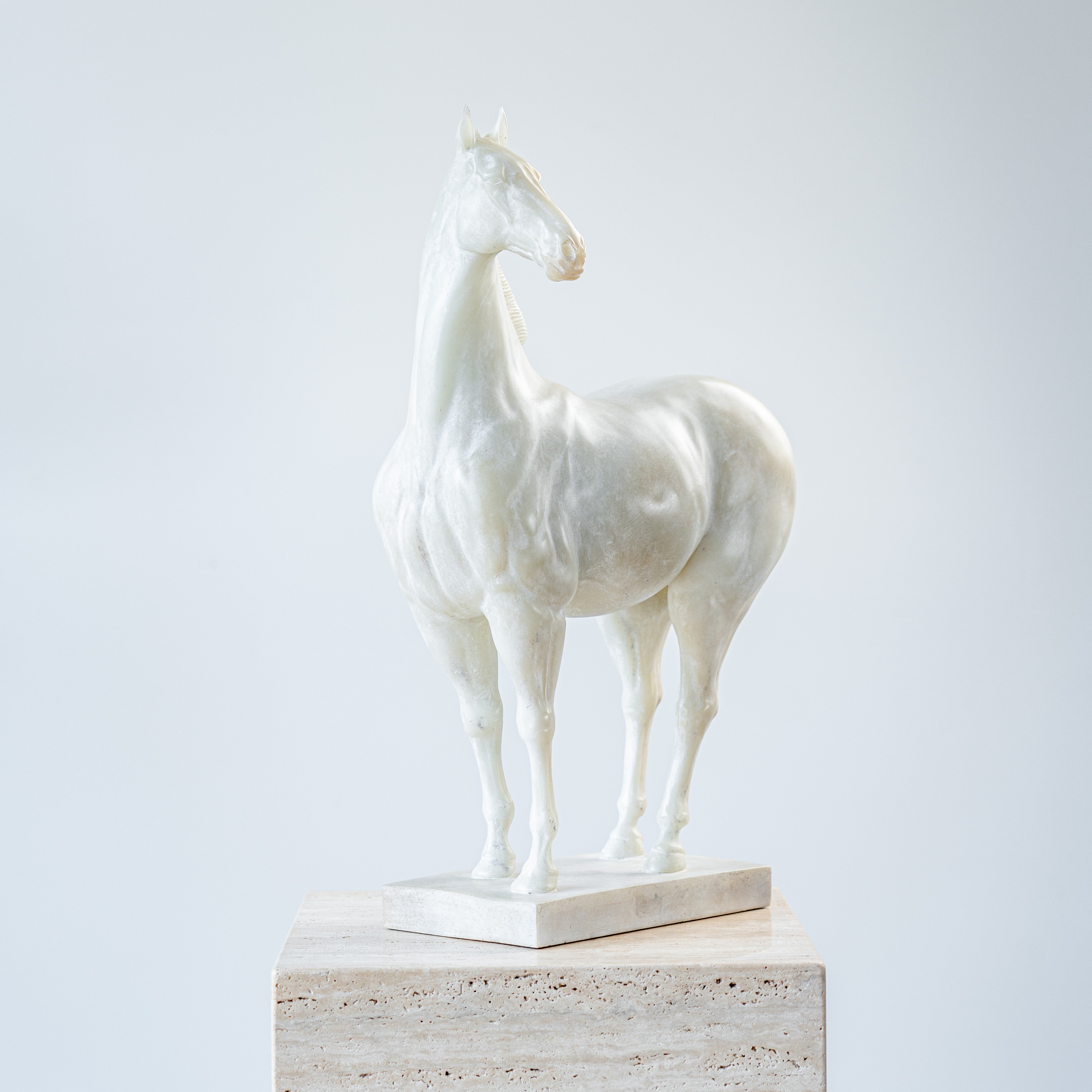 White Vintage Horse