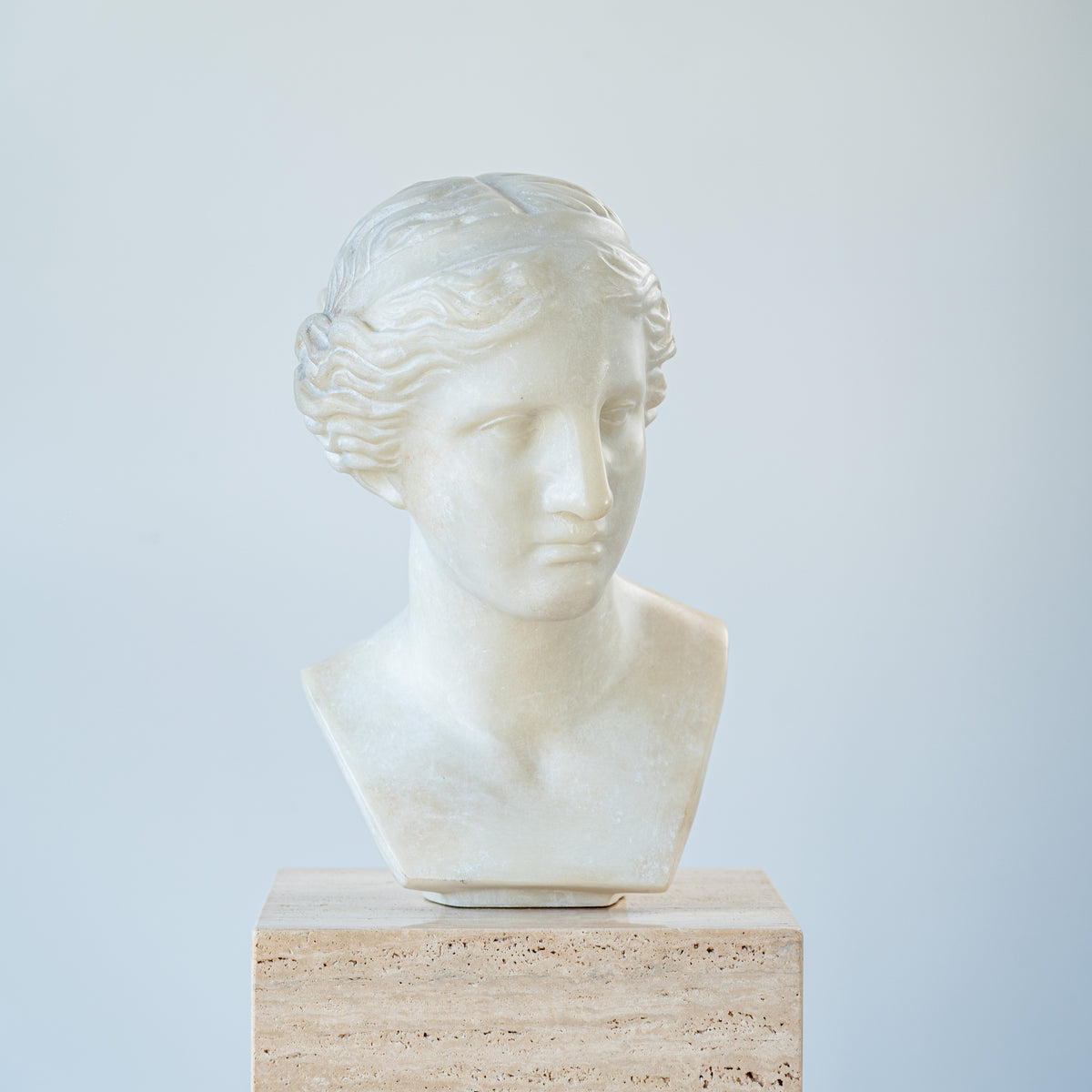 Head Amazon Musei Capitolini