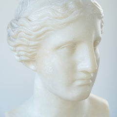 Head Amazon Musei Capitolini