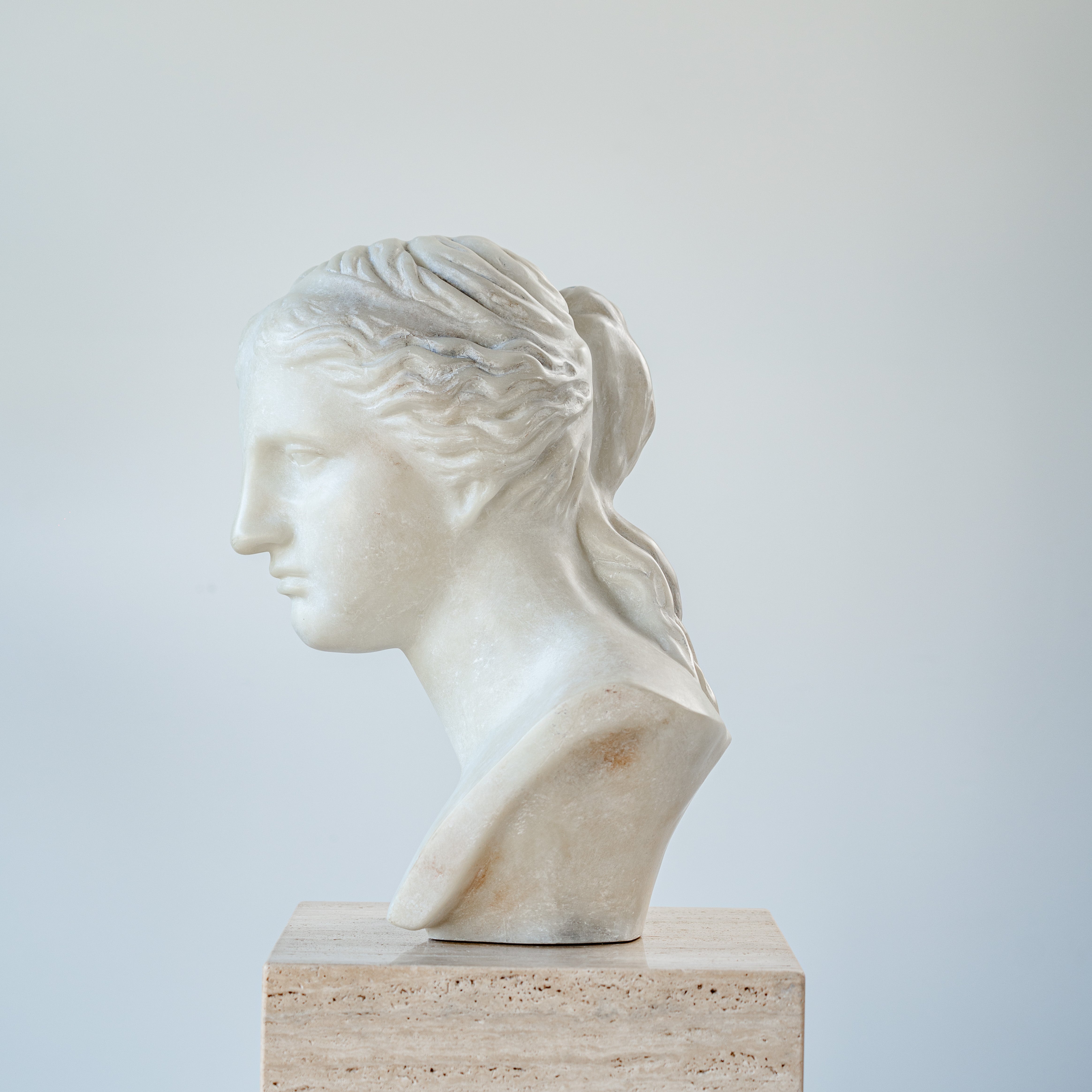 Head Amazon Musei Capitolini