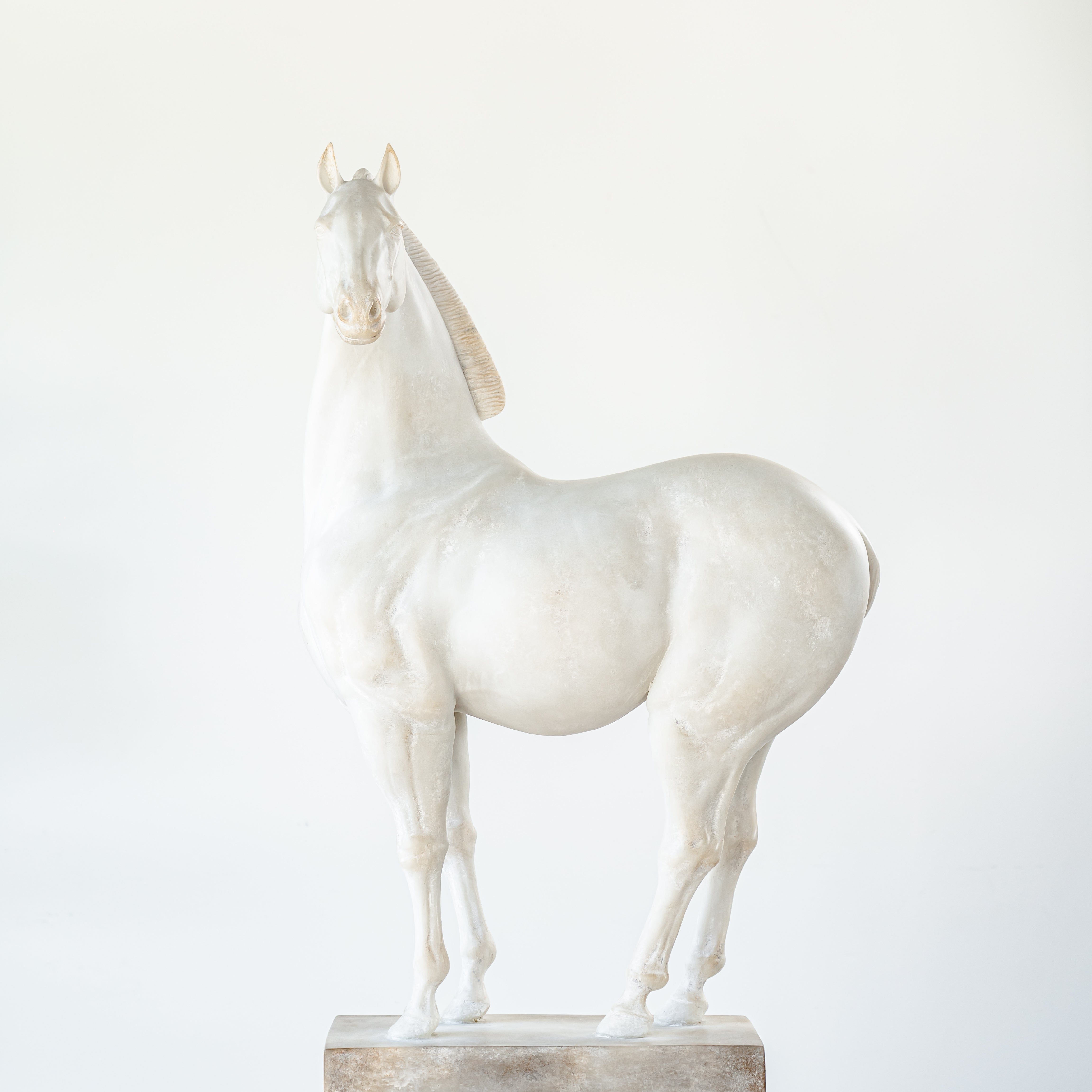 White Vintage Horse