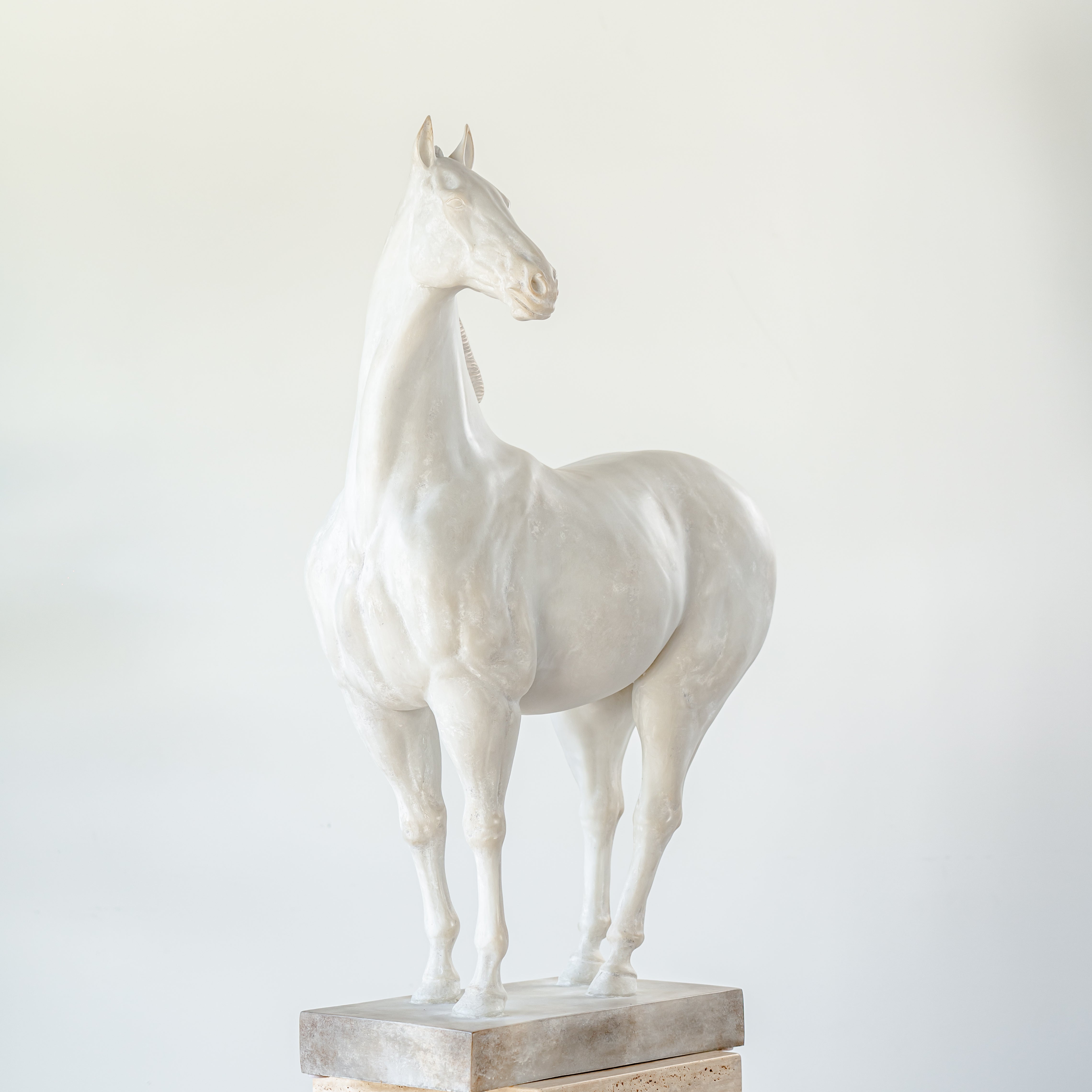 White Vintage Horse