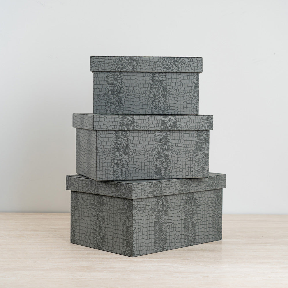 Decorative storage case with crocodile texture and bold velvet interior for valuables.