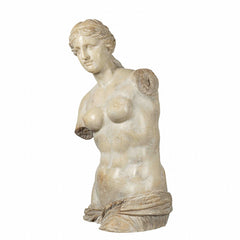 Resin Venus figurine showcasing classical beauty with a contemporary design, ideal for home décor.