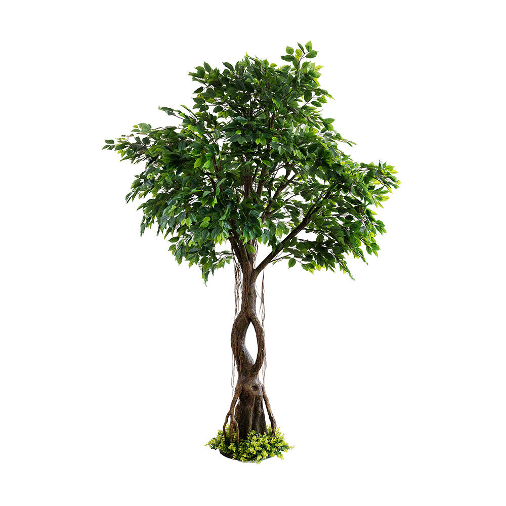 245cm tall realistic artificial Ficus tree with lifelike trunk and foliage for indoor décor