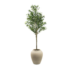 180cm tall realistic artificial olive tree with lifelike leaves and olives in indoor pot