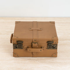 Functional decorative storage chest blending practicality with style.