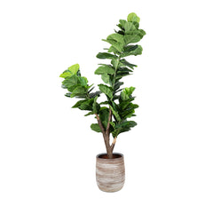 Artificial 210cm fiddle leaf tree with a slim single-trunk design in a compact pot, ideal for modern home décor