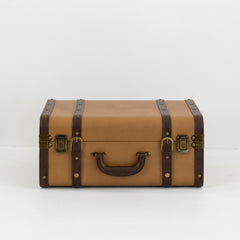 Nico storage box in mid-century modern room, holding jewelry and watches on a vanity