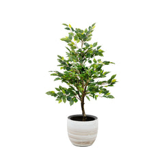 High-quality fake ficus tree with realistic foliage for modern indoor décor
