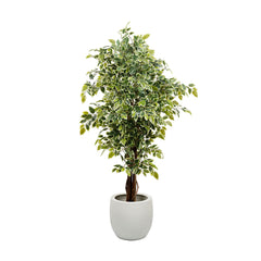 Small lifelike artificial ficus tree with natural green leaves for indoor decoration.
