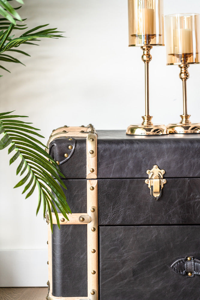 Windsor leather trunk-style cabinet with two drawers, modern versatile furniture for bedrooms or living rooms