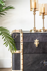 Windsor leather trunk-style cabinet with two drawers, modern versatile furniture for bedrooms or living rooms